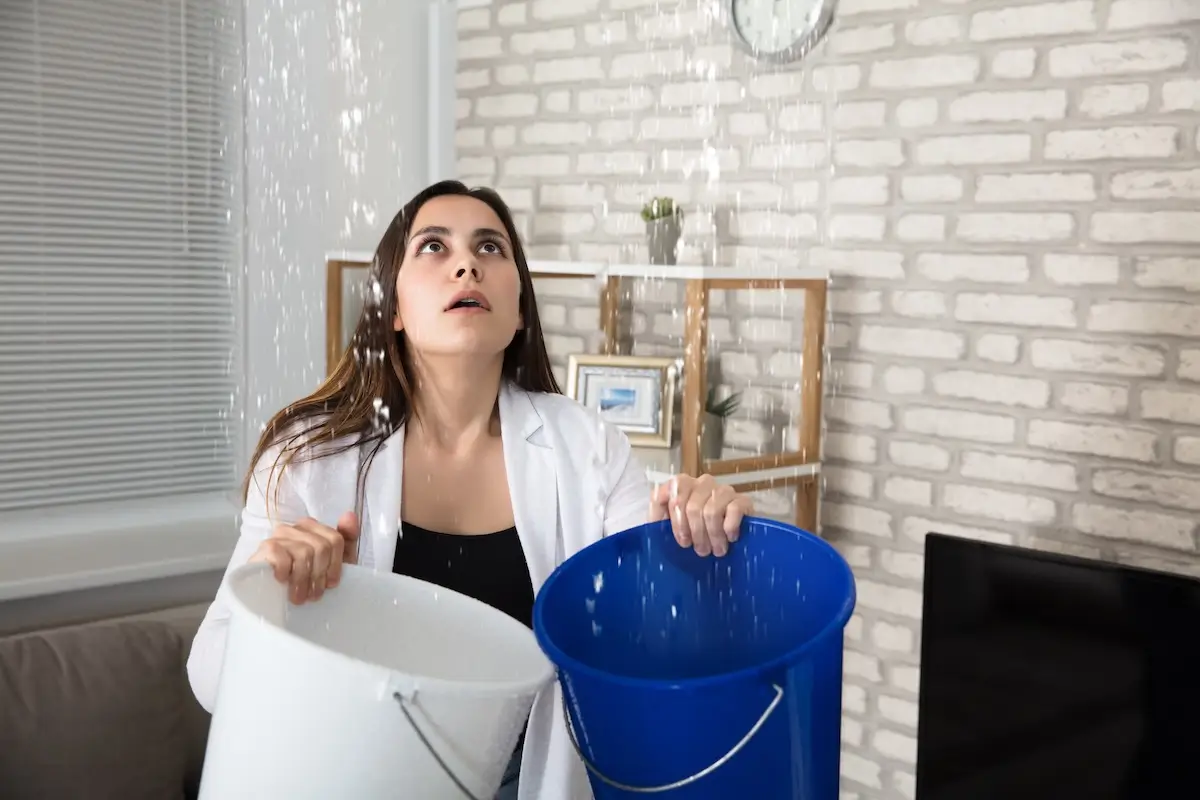 Marketing Your Springfield Rental Property